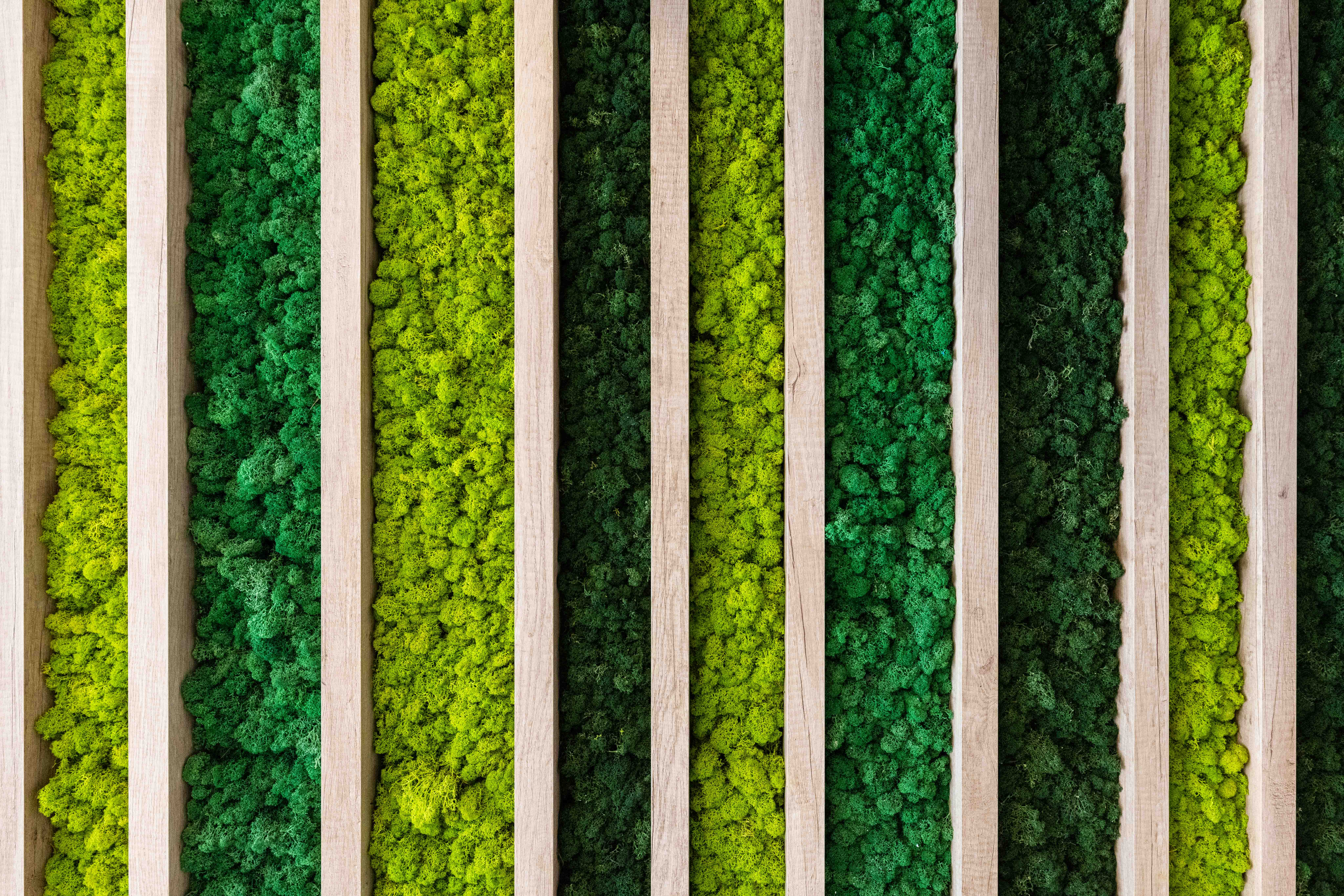 Avenida de europa, 34 d 5 Avenida de europa, 34 d 5